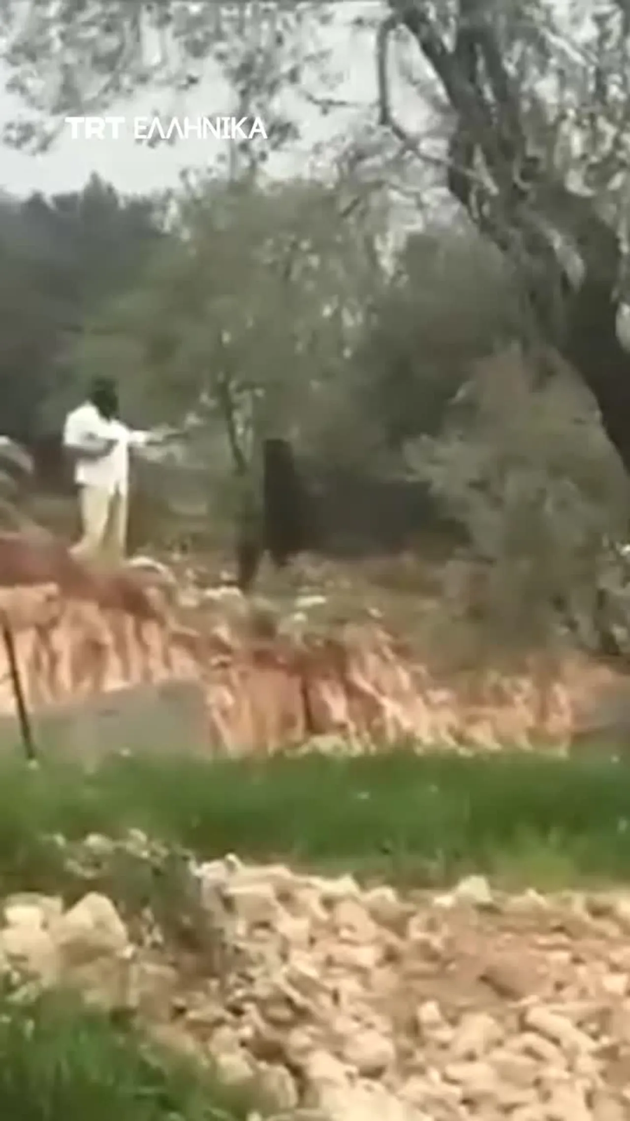 Μασκοφόροι Ισραηλινοί παράνομοι έποικοι σκοτώνουν Παλαιστίνιο στην κατεχόμενη Δυτική Όχθη