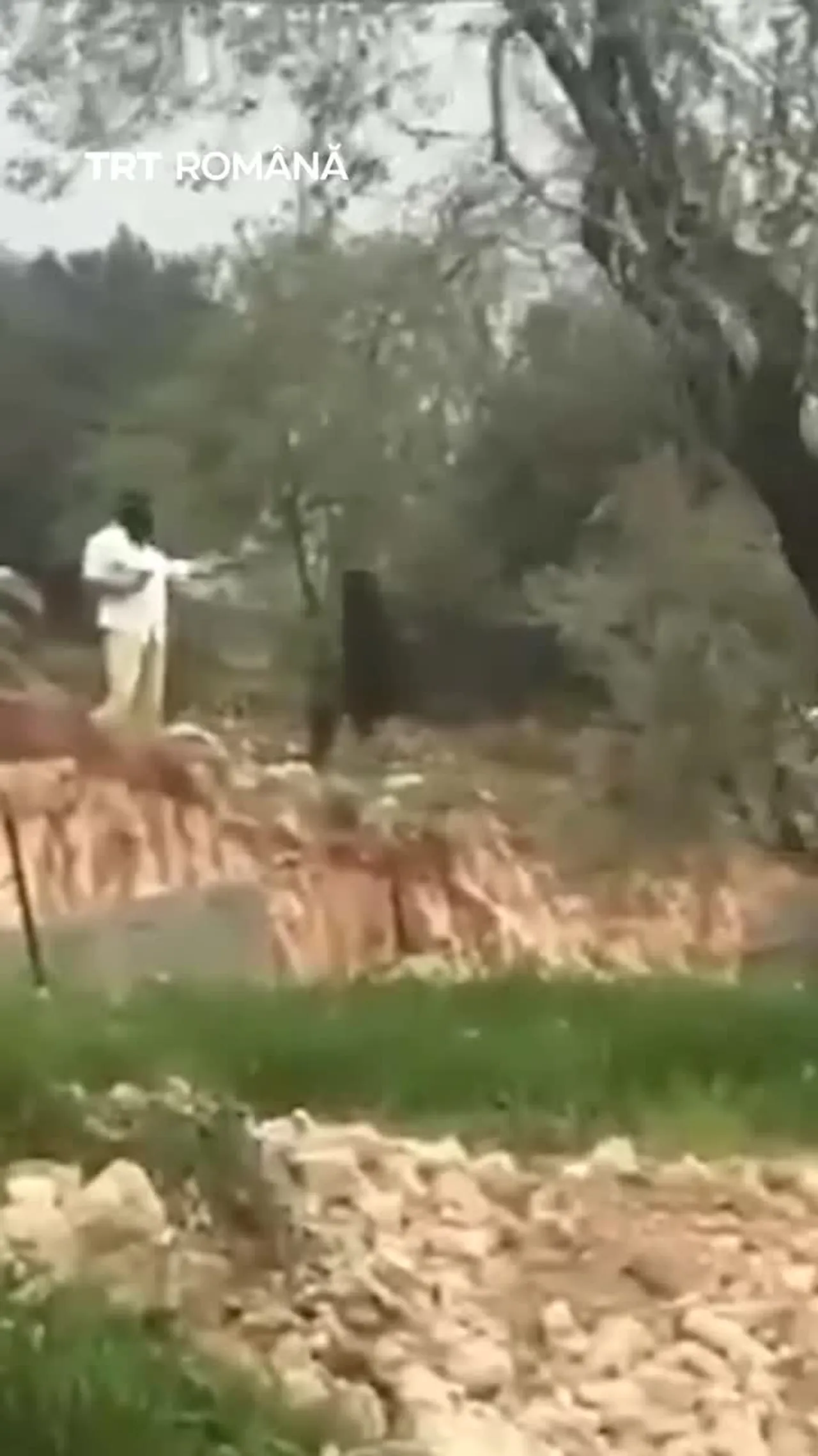 În Cisiordania ocupată, coloniști israelieni mascați au ucis un bărbat palestinian