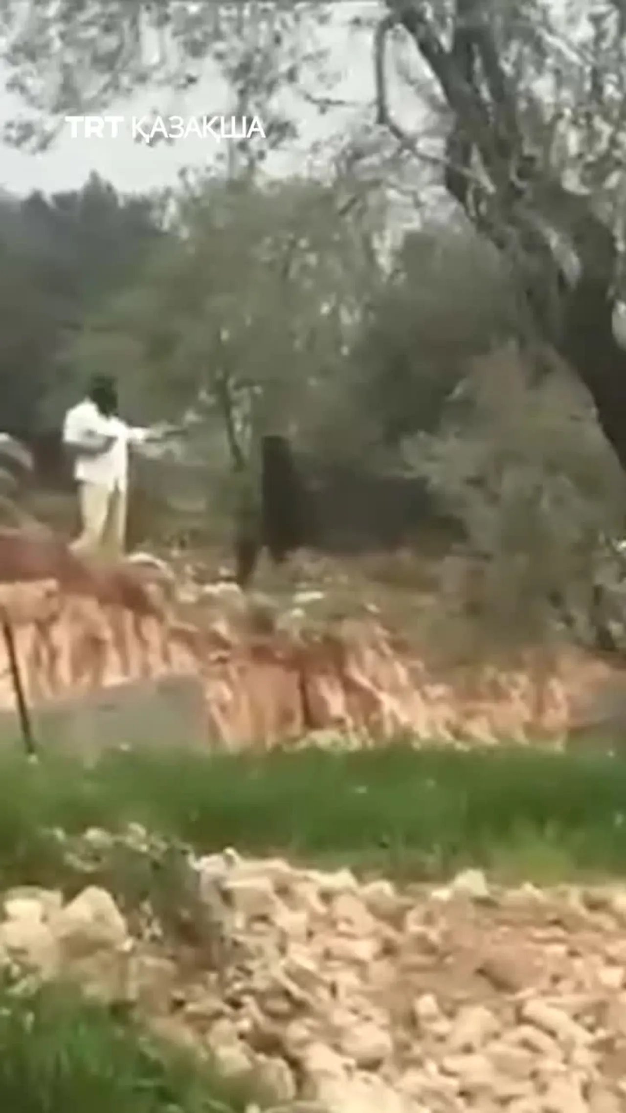 Батыс Шерияда бетперде киген израильдік қоныстанушылар палестиналық адамға тиісті