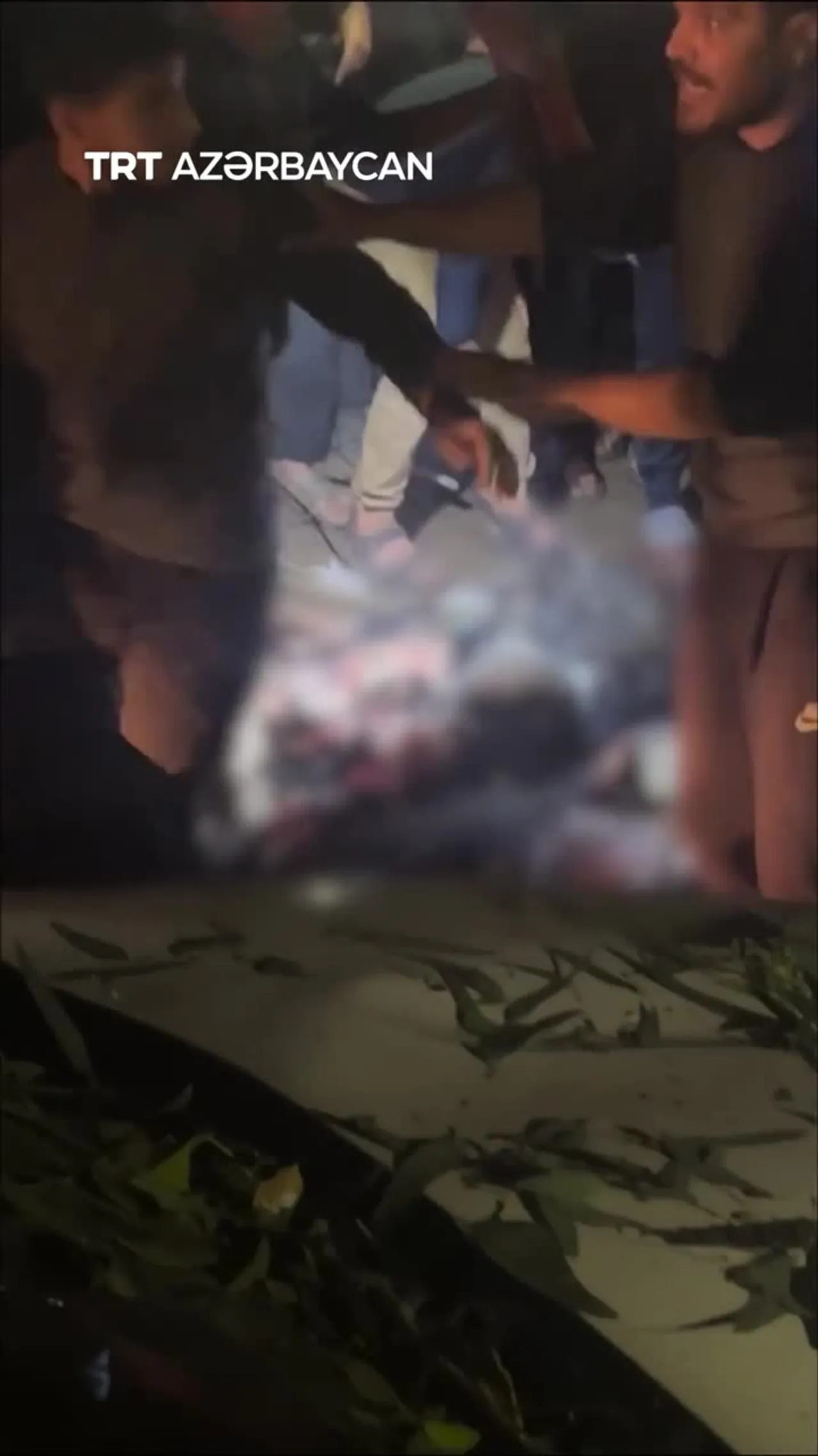 İsrail son atəşkəs pozuntusu çərçivəsində Qəzza şəhərindəki qaçqın düşərgəsini bombaladı