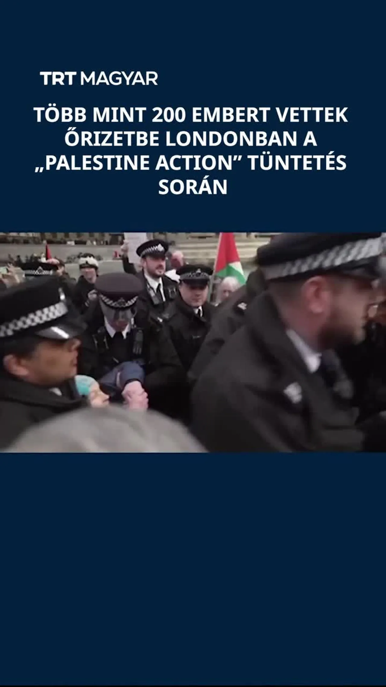 Több mint 200 embert vettek őrizetbe Londonban a „Palestine Action” tüntetés során