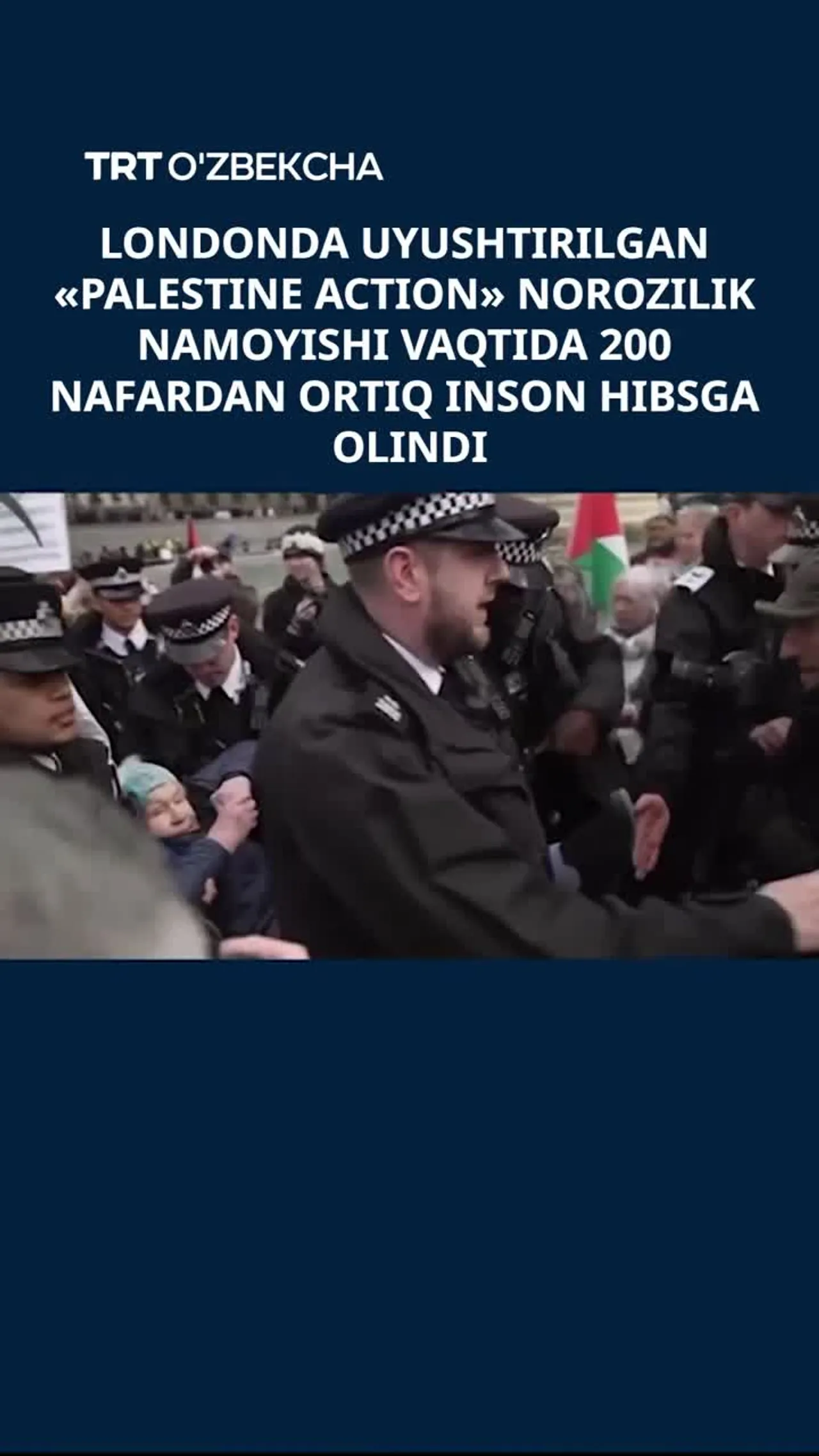 «Palestine Action» namoyishida ko‘plab inson hibsga olindi