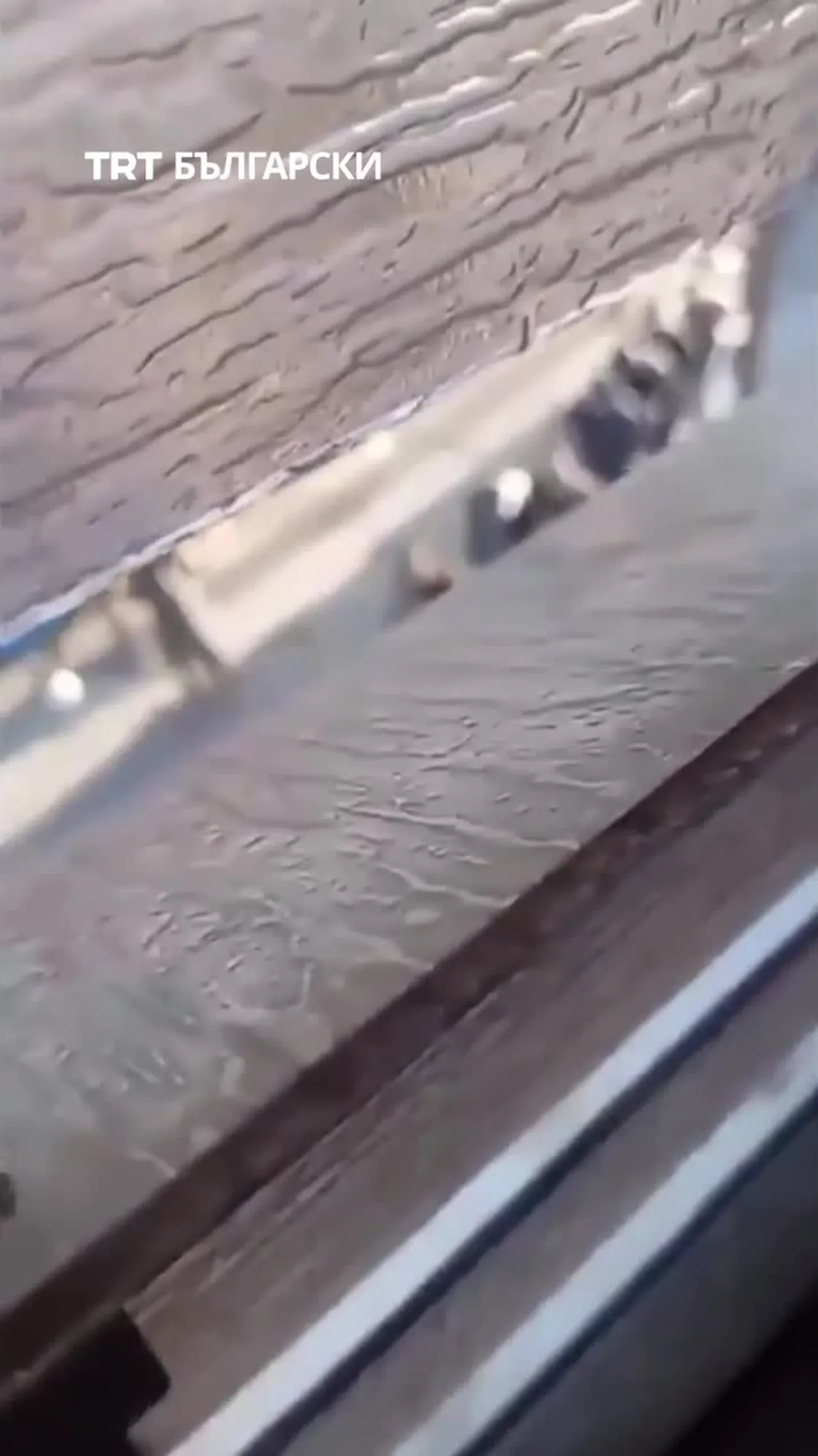 ИЗРАЕЛ ЗАДЪРЖА ДЕСЕТКИ ПАЛЕСТИНЦИ ПРИ АКЦИЯ В ТУЛКАРЕМ