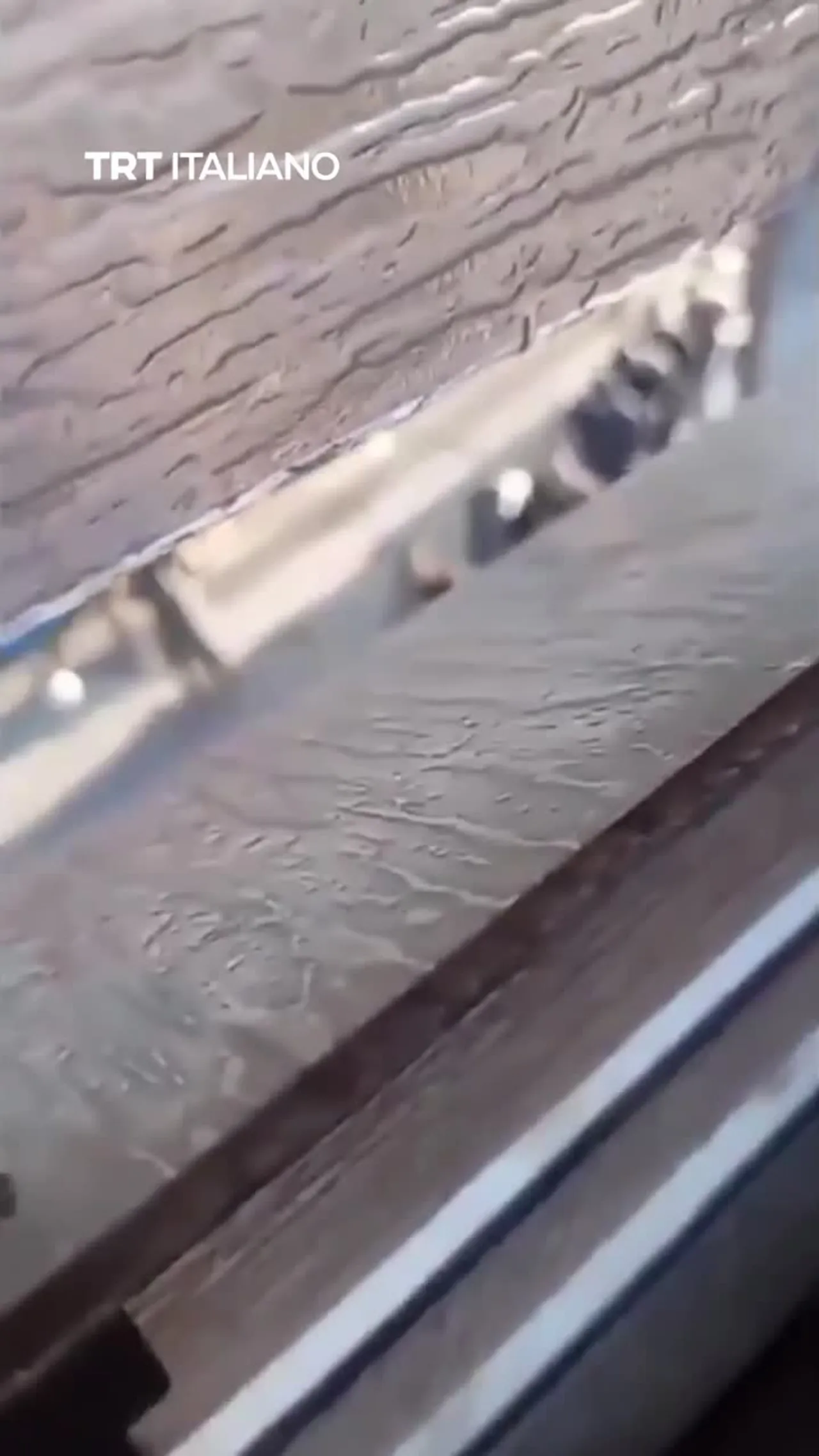 Israele ha arrestato decine di palestinesi durante un raid a Tulkarem