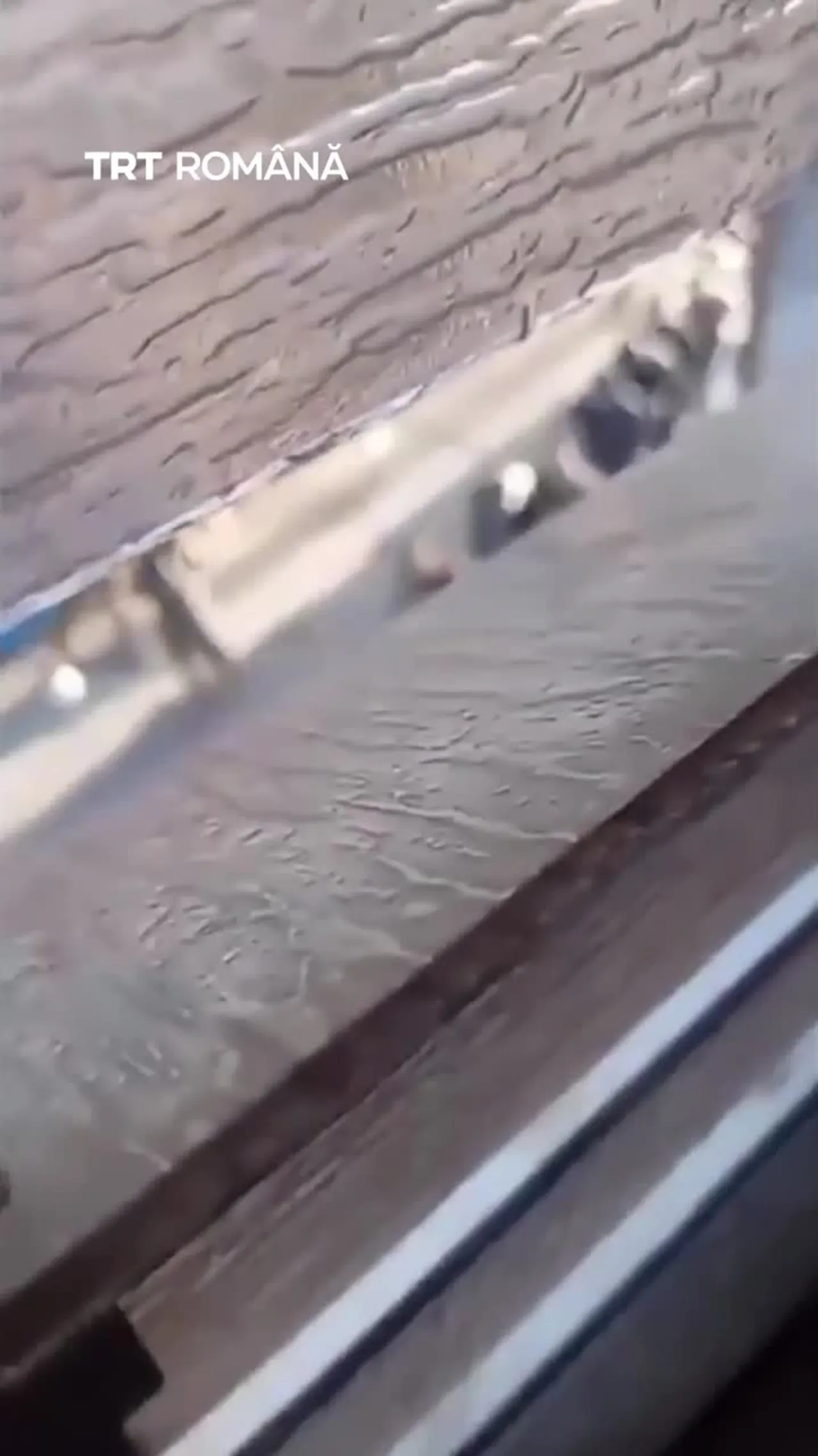 Israelul arestează zeci de palestinieni în urma raidului din Tulkarem