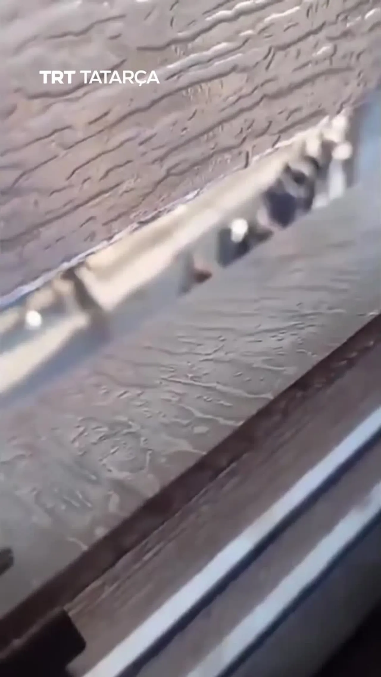 İzrail Tulkarmdağı basqında distälägän fälästinlene qulğa aldı