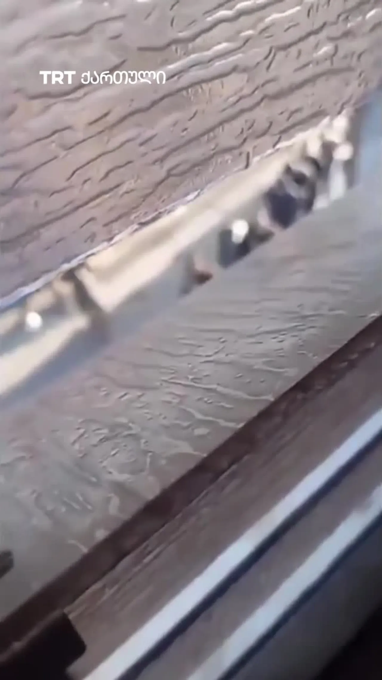 ისრაელმა ტულკარმში რეიდის დროს ათობით პალესტინელი დააკავა