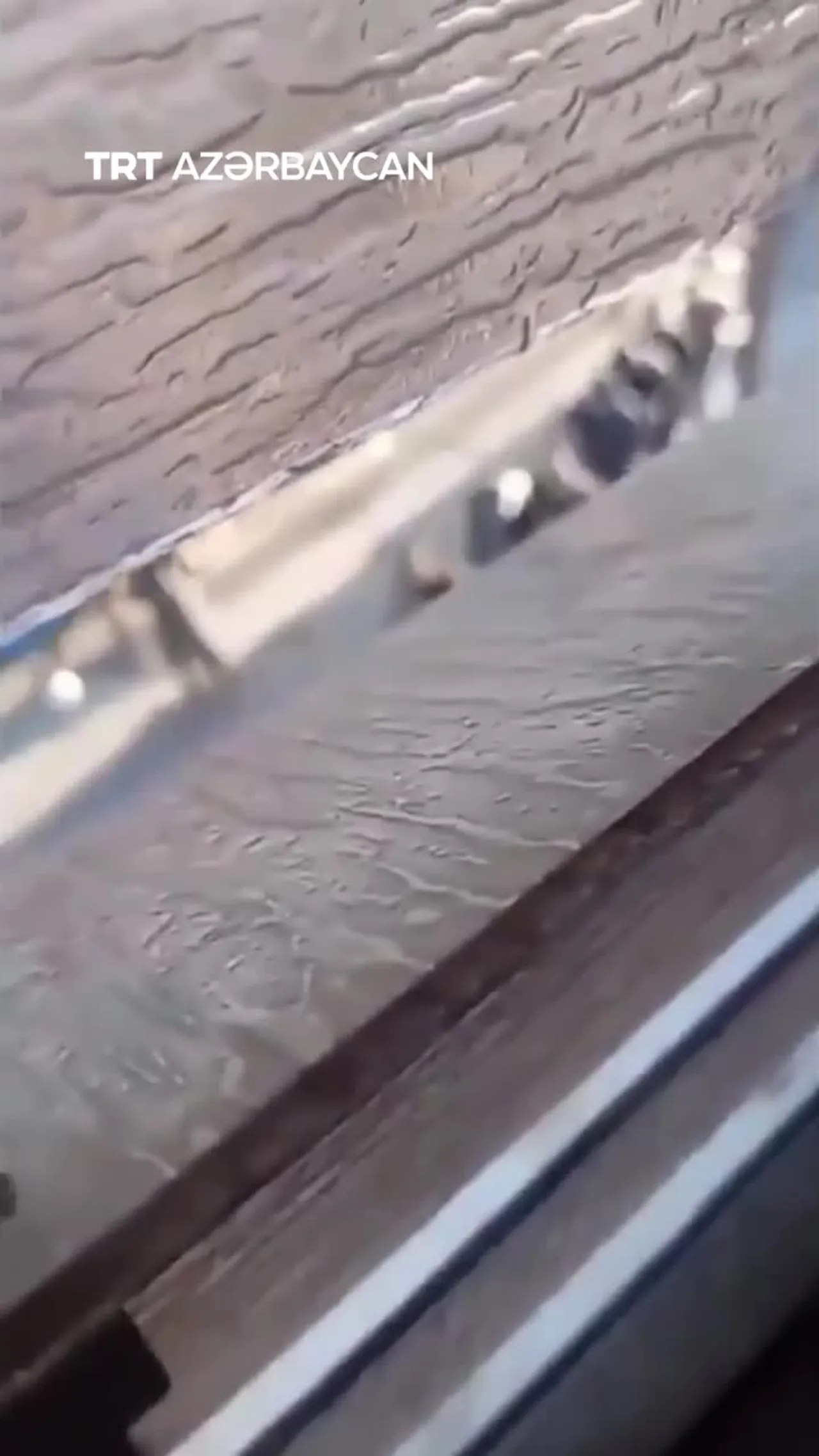 İsrail qüvvələri Tulkərimdə keçirilən reyd zamanı onlarla fələstinlini saxlayıb