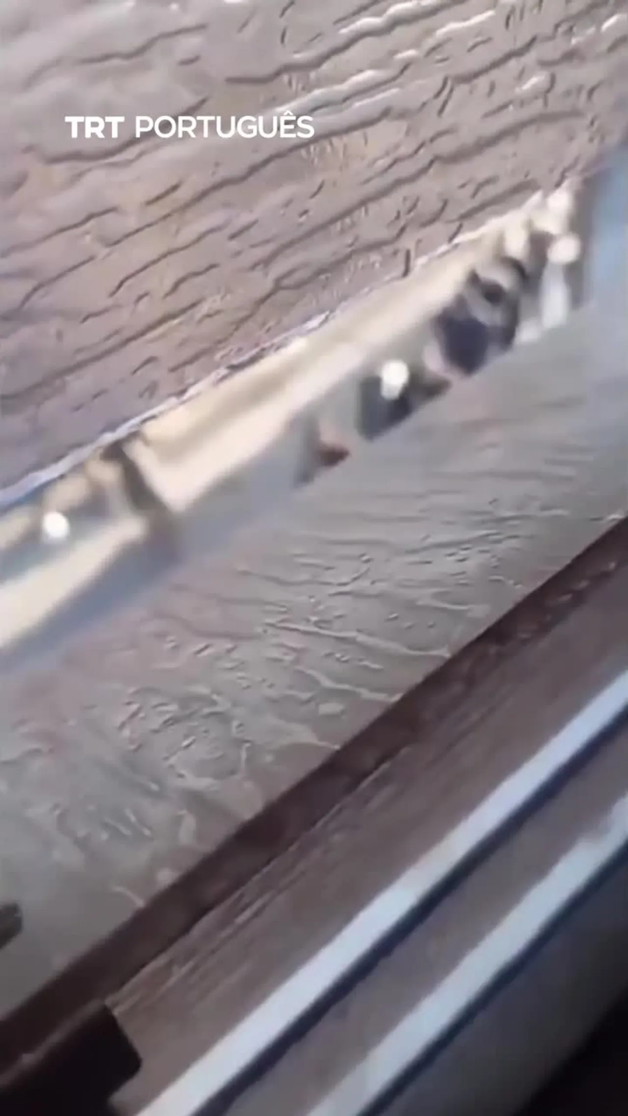 Israel deteve dezenas de palestinianos numa operação em Tulkarem