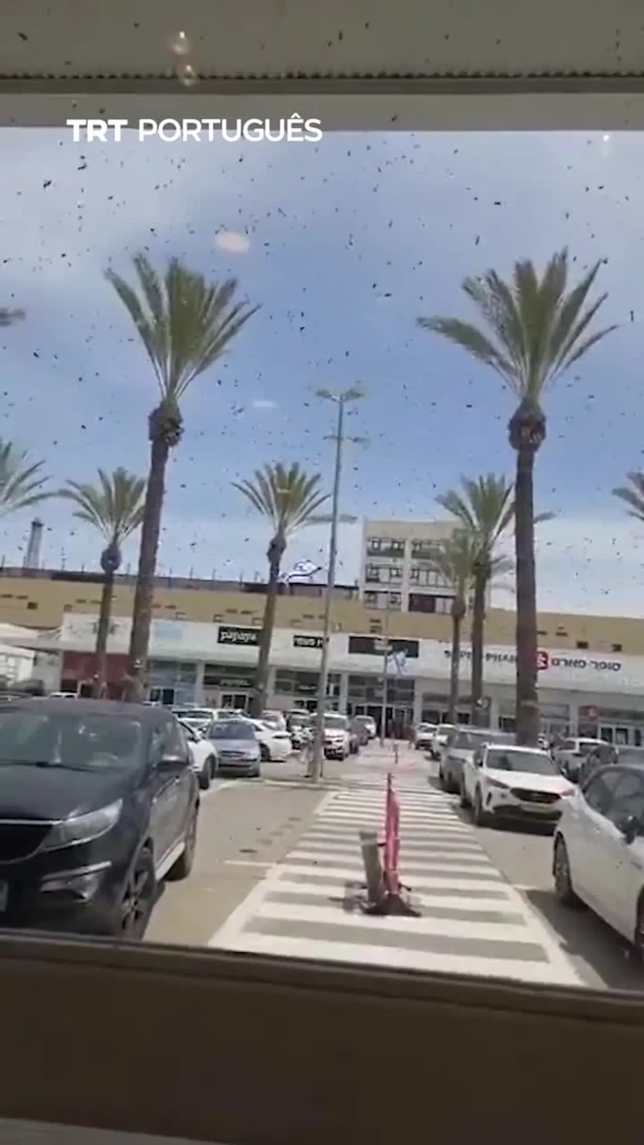 Dezenas de milhares de abelhas invadem um centro comercial em Israel