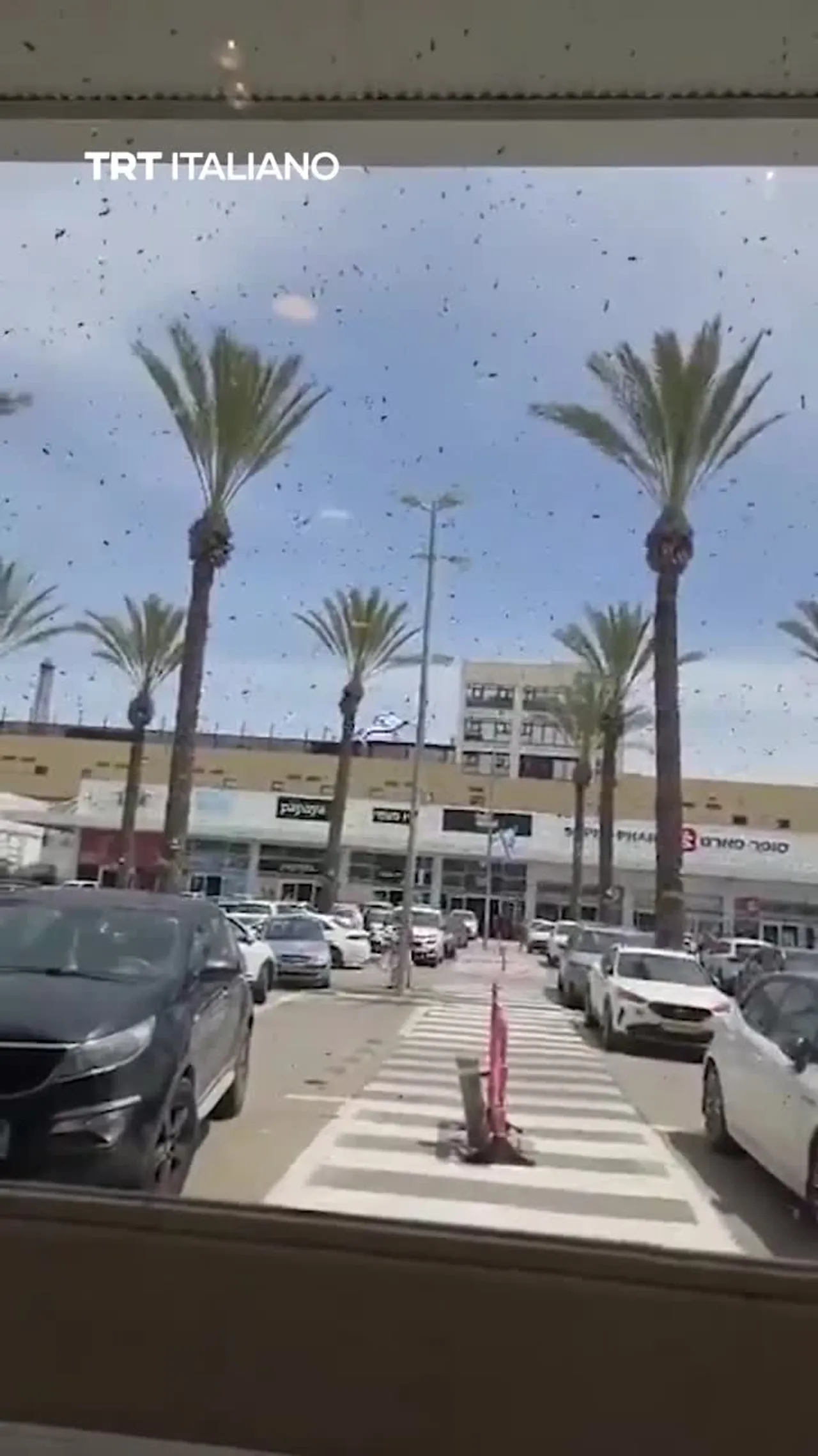 Decine di migliaia di api hanno invaso un centro commerciale in Israele