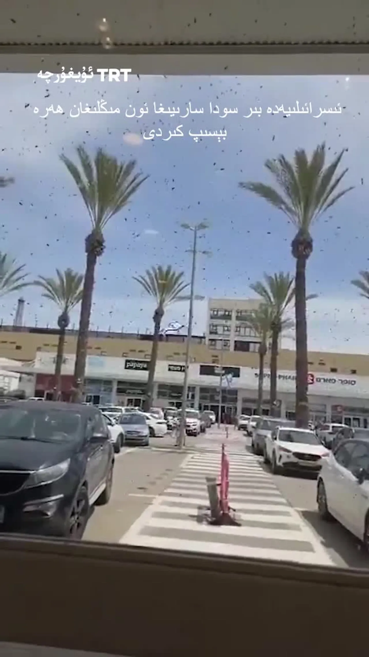 ئىسرائىلىيەدە بىر سودا سارىيىغا ئون مىڭلىغان ھەرە بېسىپ كىردى