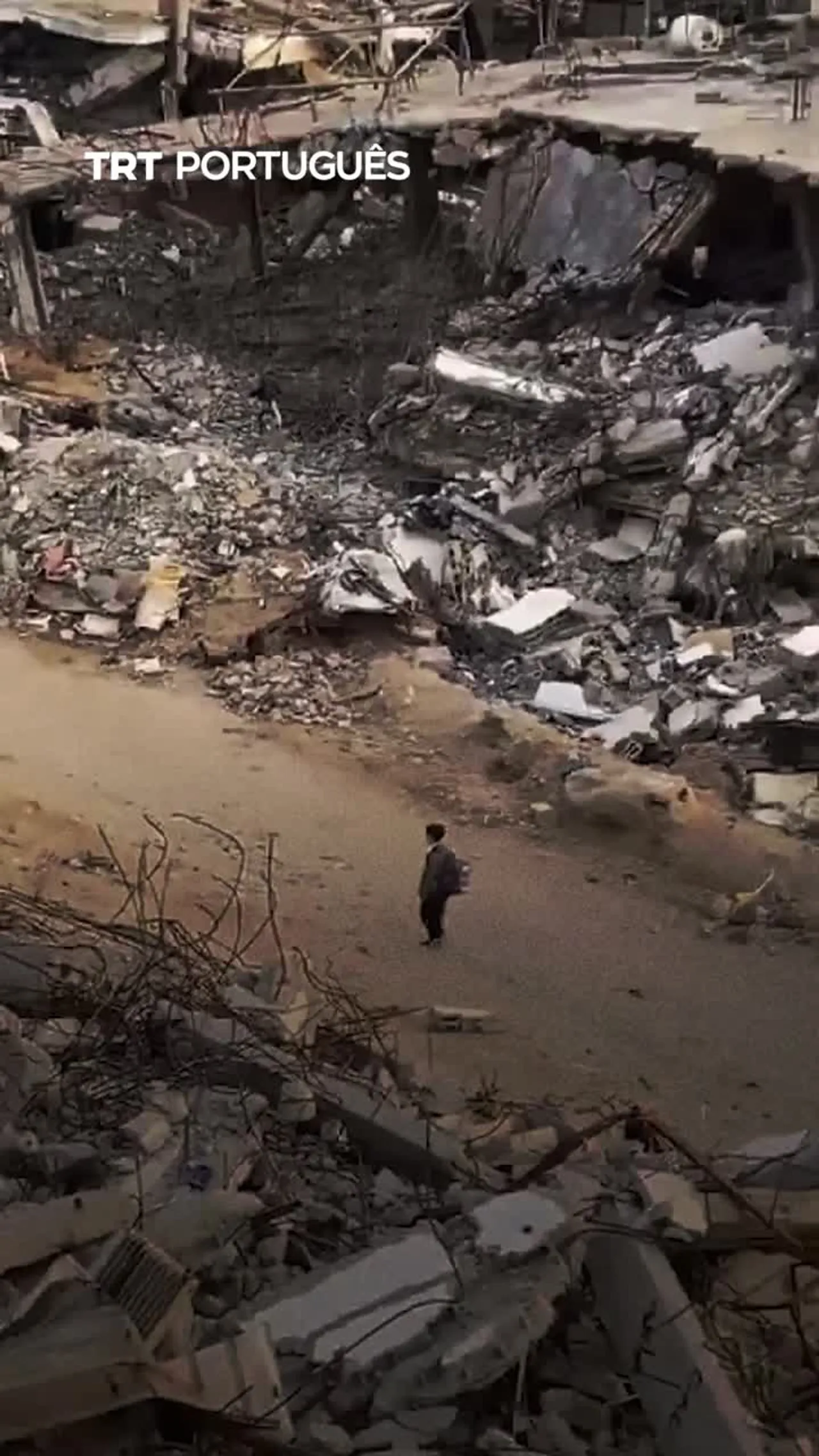 A realidade do sistema educativo de Gaza sob constantes ataques israelitas