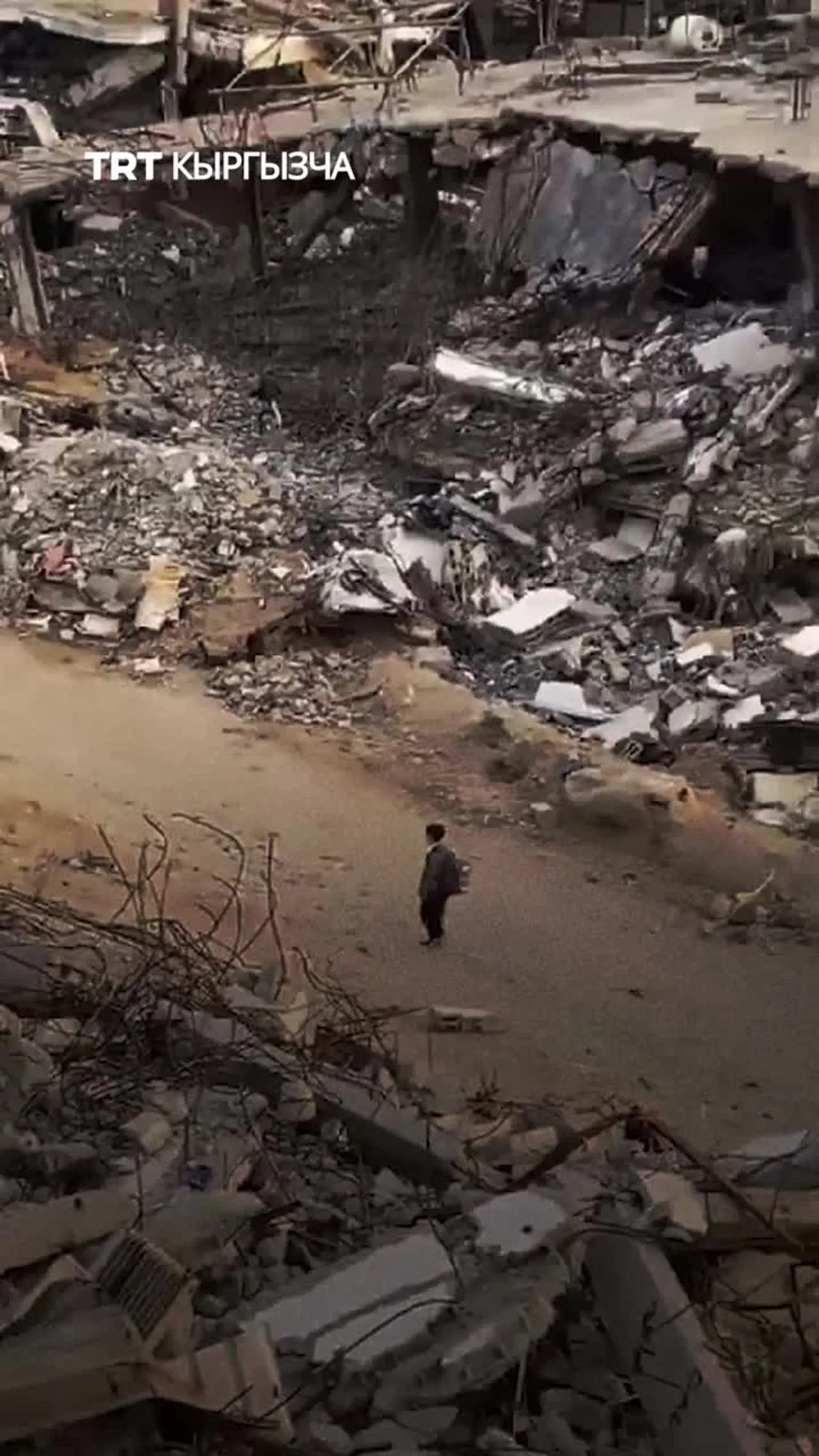 ИЗРАИЛДИН ТЫНЫМСЫЗ ЧАБУУЛДАРЫНЫН АСТЫНДА ГАЗАДАГЫ БИЛИМ БЕРҮҮ СИСТЕМАСЫНЫН ЧЫНЫГЫ АБАЛЫ