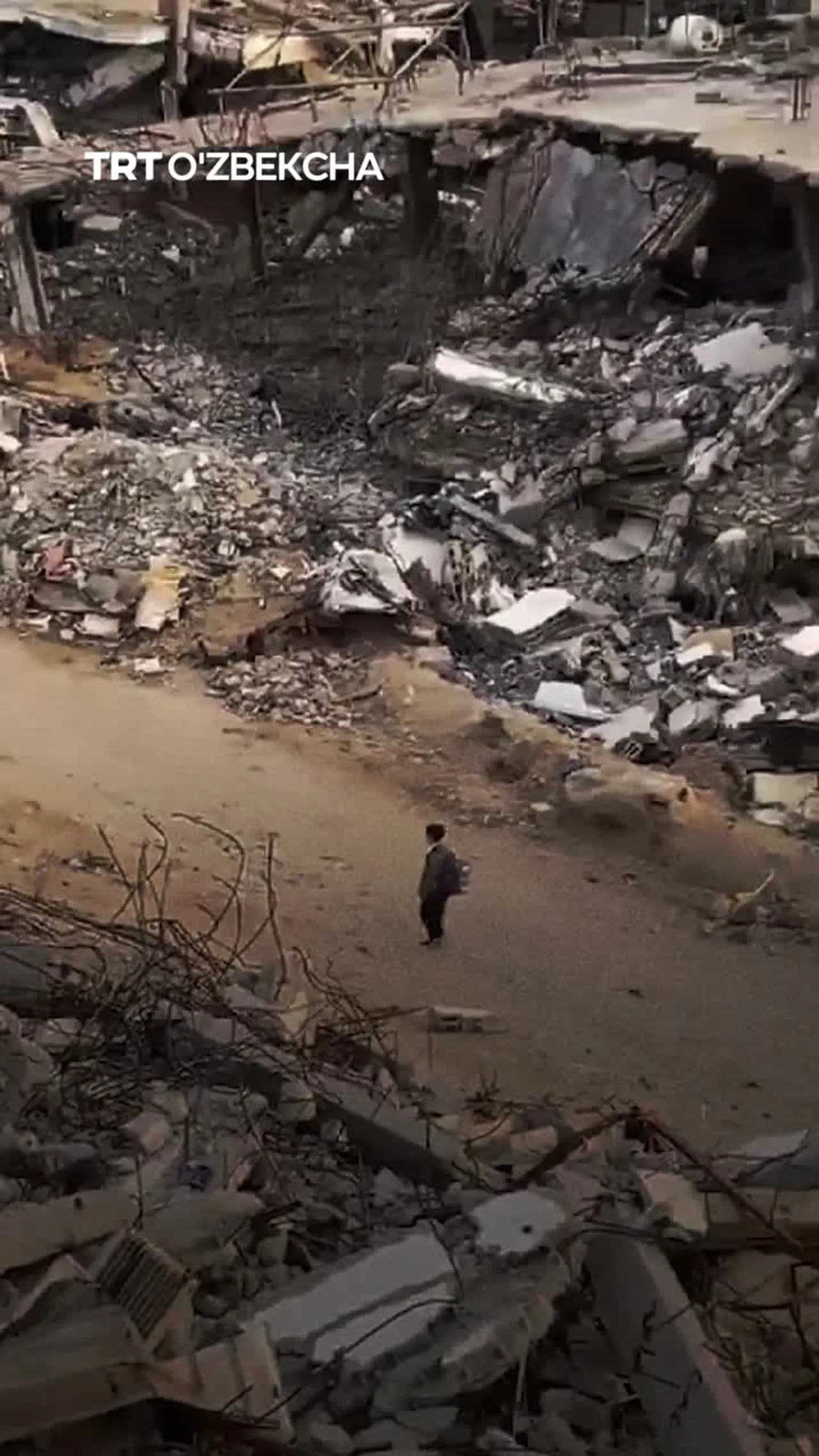 Isroil G‘azodagi ta’lim tizimini butunlay yo‘q qilish arafasida