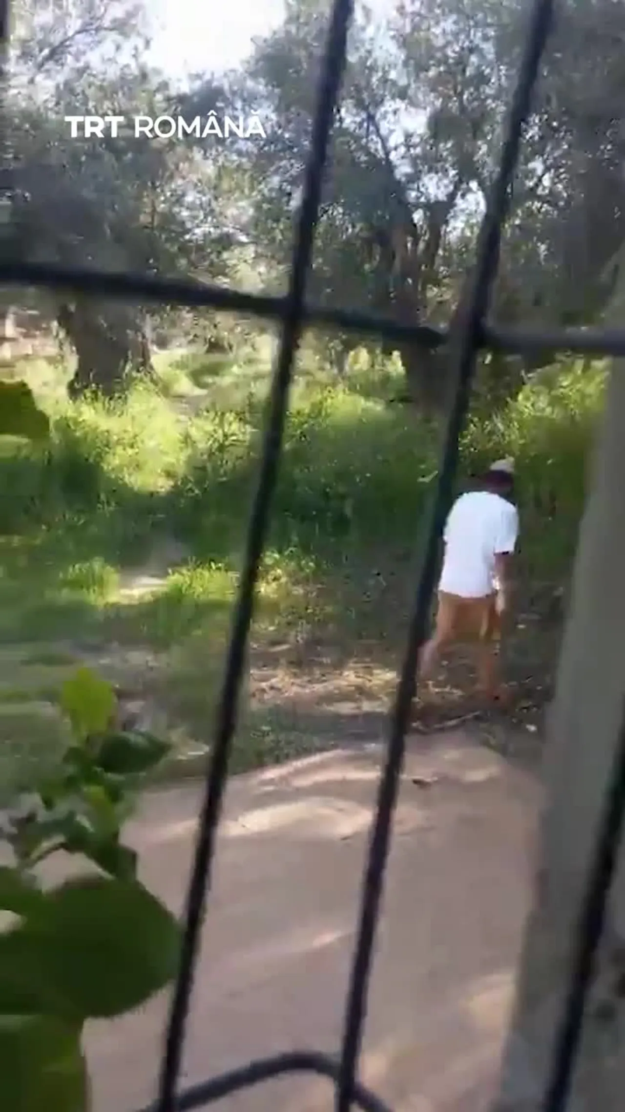 Jurnalistul Issa Amro a fost atacat de un colonist israelian ilegal în Cisiordania ocupată