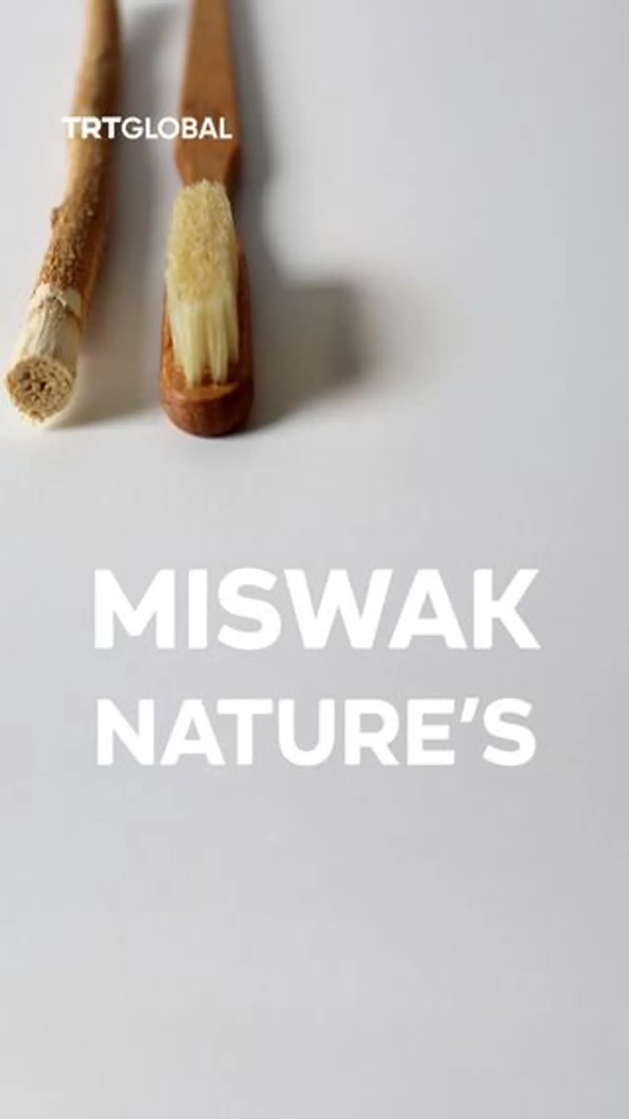 Miswak: Nature’s toothbrush